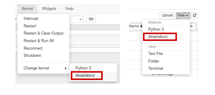 DeepLabCut Jupyter Notebook